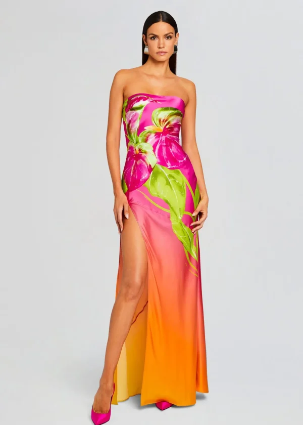 RETROFÊTE*Retrofete Aiyanna Silk Dress Ombre Anthurium