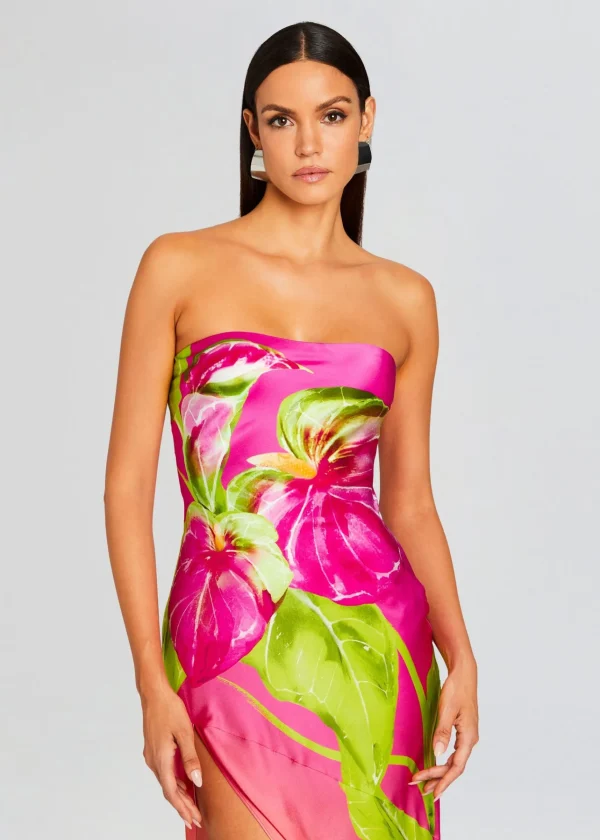Gowns*Retrofete Aiyanna Silk Dress Ombre Anthurium