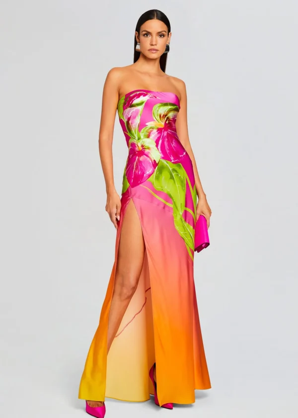 Dresses*Retrofete Aiyanna Silk Dress Ombre Anthurium
