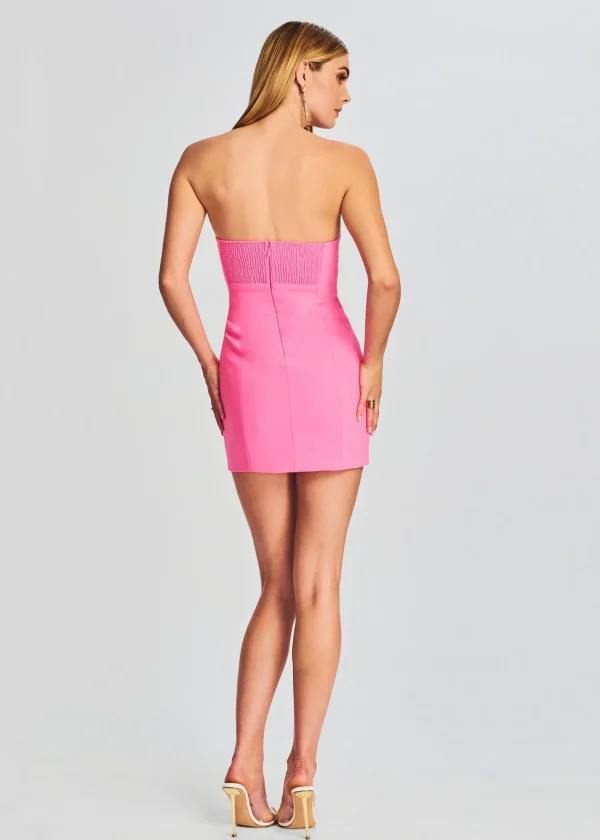 RETROFÊTE*Retrofete Ana Dress Hyper Pink