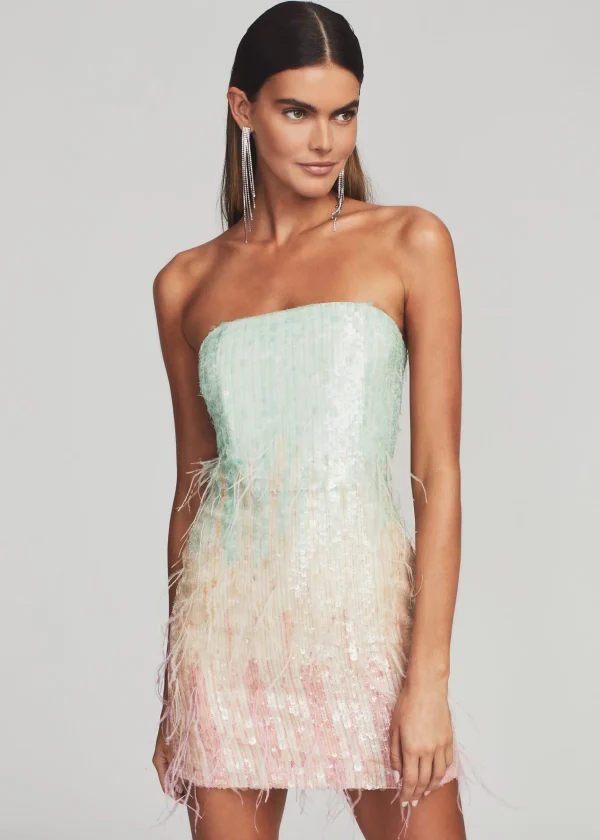 RETROFÊTE*Retrofete Anastasia Sequin Dress Feather