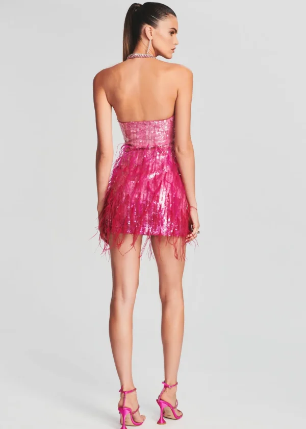 Bachelorette Party*Retrofete Anastasia Sequin Feather Dress Fuchsia