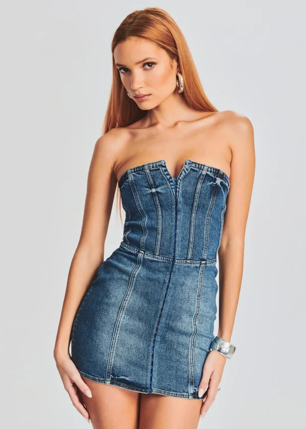 RETROFÊTE*Retrofete Andreia Denim Dress Bailey