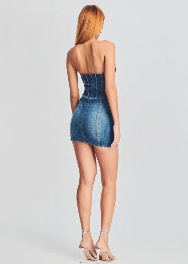 RETROFÊTE*Retrofete Andreia Denim Dress Bailey
