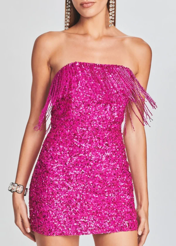 RETROFÊTE*Retrofete Cassandra Sequin Fringe Dress Hot Pink