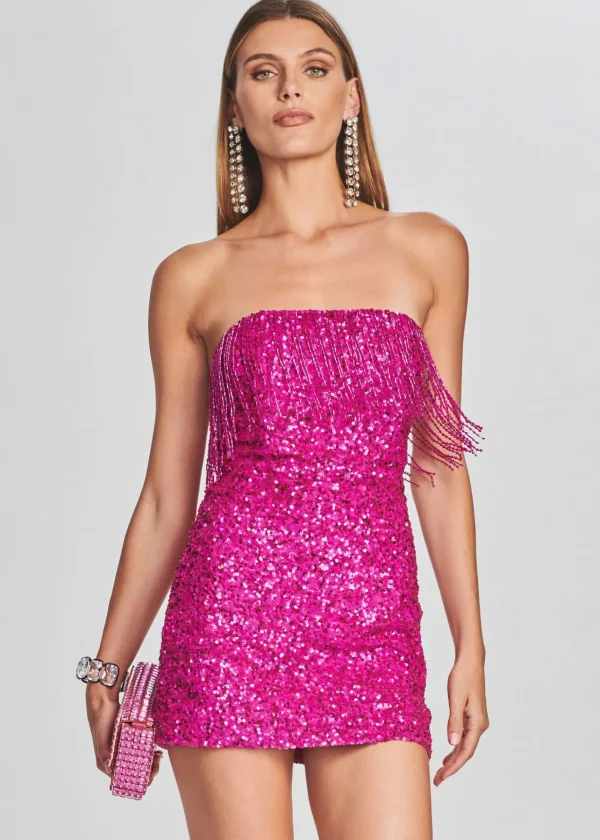 Dresses*Retrofete Cassandra Sequin Fringe Dress Hot Pink