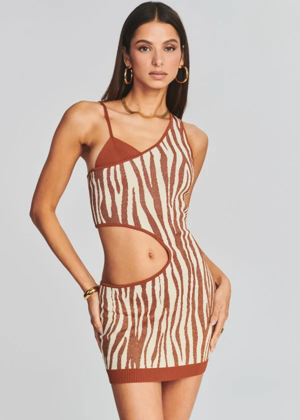 Final Sale*Retrofete Dimi Dress Brown Zebra