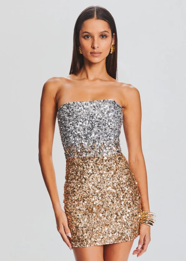 RETROFÊTE*Retrofete Katalina Sequin Dress Silver Gold Ombre
